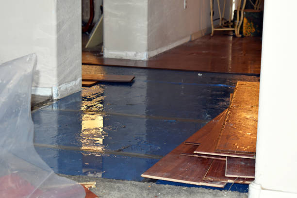 Professional Water Damage Restoration technician working in Harwick, PA